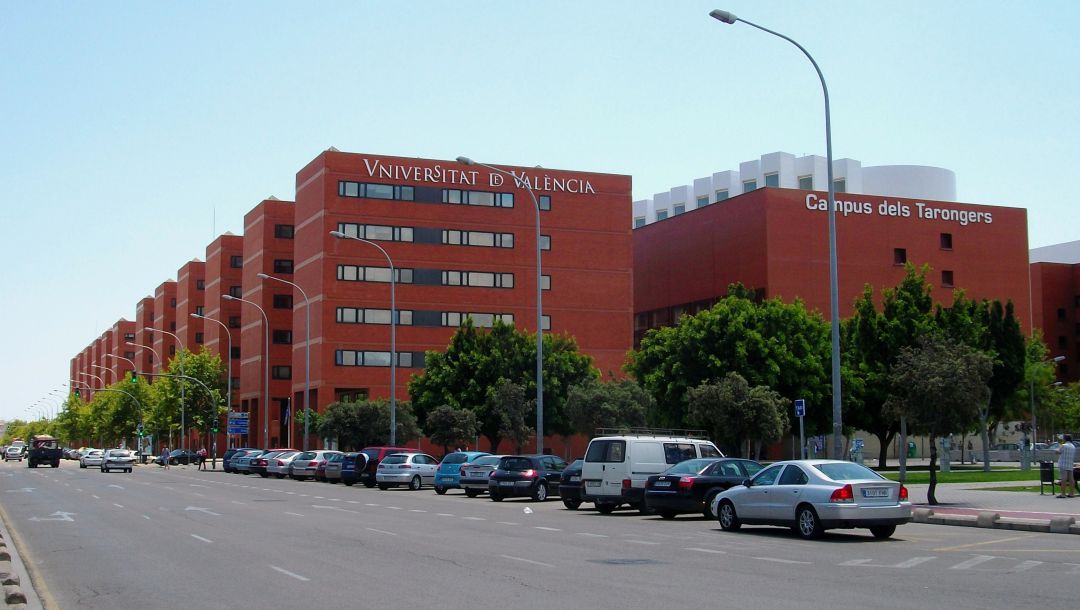 La Universidad de Valencia retira los otros cuatro cursos de pseudoterapias La Universidad de Valencia retira los otros cuatro cursos de pseudoterapias
