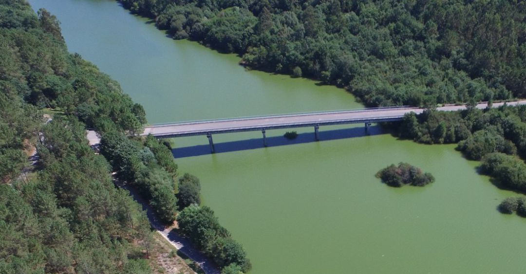 Limpieza reivindicativa del río Umia Limpieza reivindicativa del río Umia