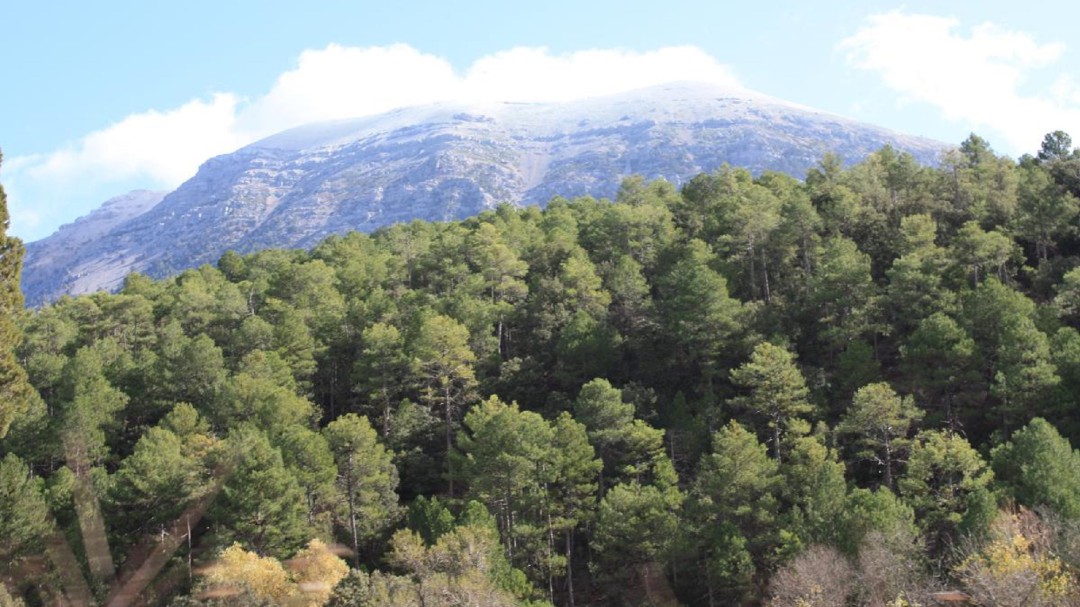 "El nuevo parque natural de Castril-La Sagra beneficia al norte provincial"