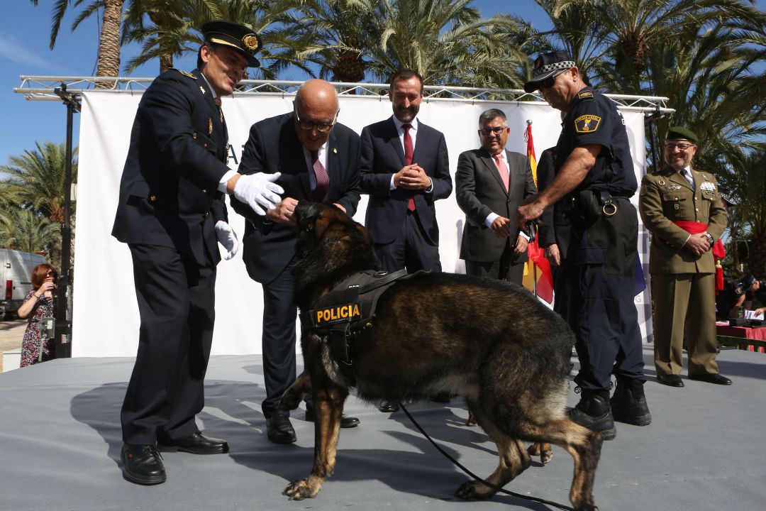 Perro policia Elche Perro policia Elche