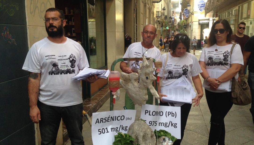 La Plataforma de Afectados por los Metales Pesados presenta una serie de estudios en Medio Ambiente La Plataforma de Afectados por los Metales Pesados presenta una serie de estudios en Medio Ambiente