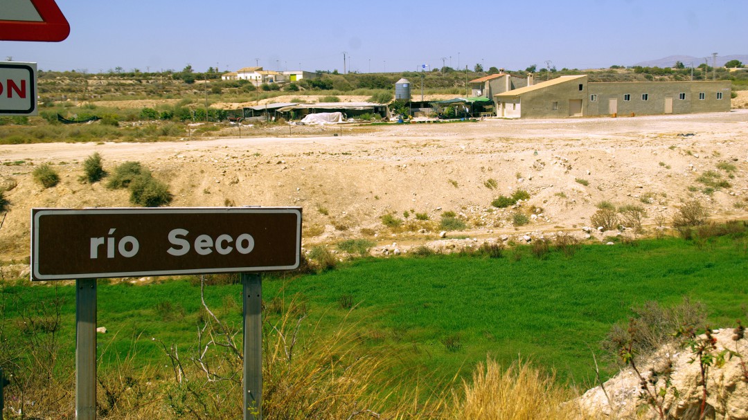Conservar la nueva zona humeda del barranco del río Seco