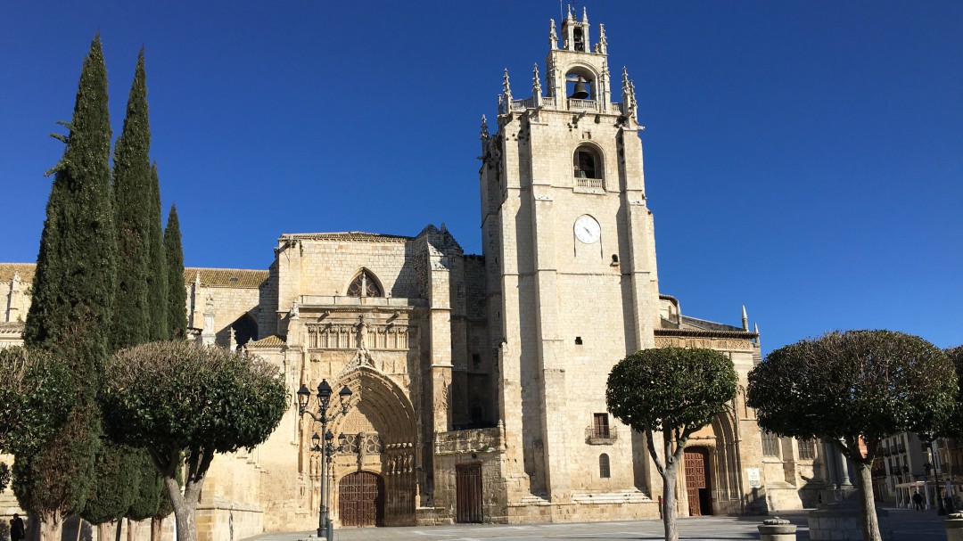 Nueva visita temática a la Catedral de Palencia