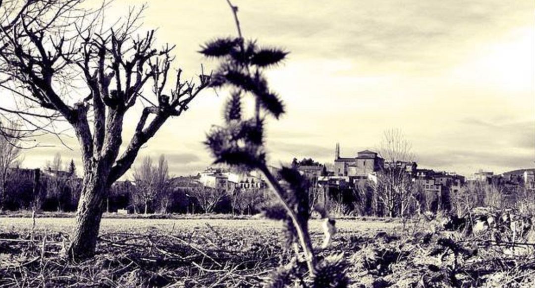 La despoblación afecta a muchos pueblos de la provincia de Cuenca. La despoblación afecta a muchos pueblos de la provincia de Cuenca.