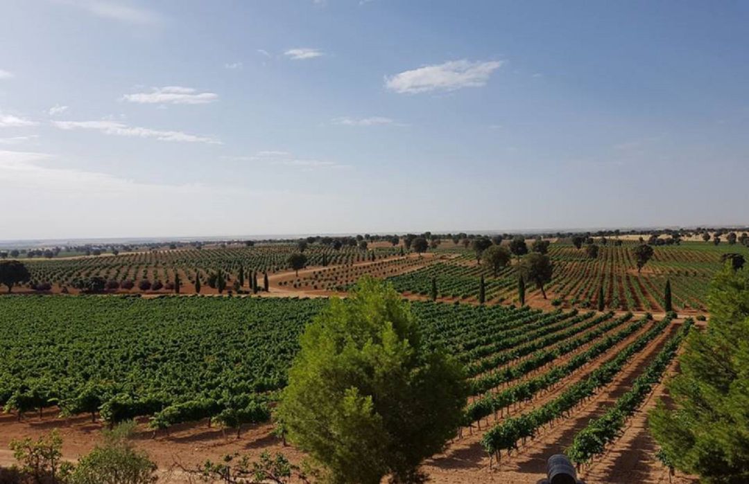 La Fundación Empresa y Clima formará a profesionales en turismo sostenible La Fundación Empresa y Clima formará a profesionales en turismo sostenible