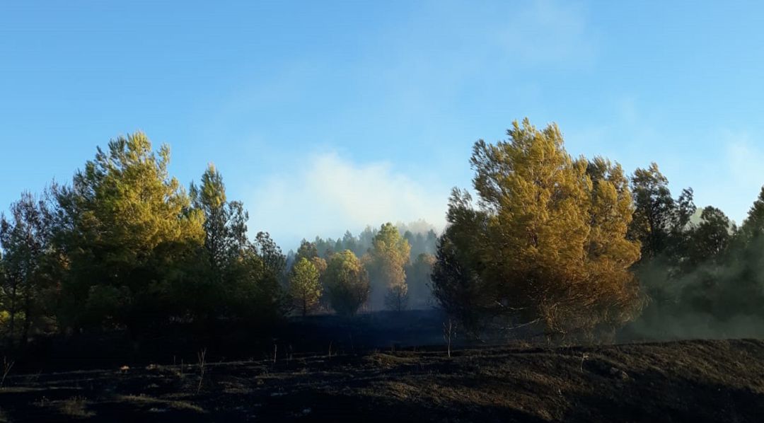 Incendio forestal en Fuentes. Incendio forestal en Fuentes.