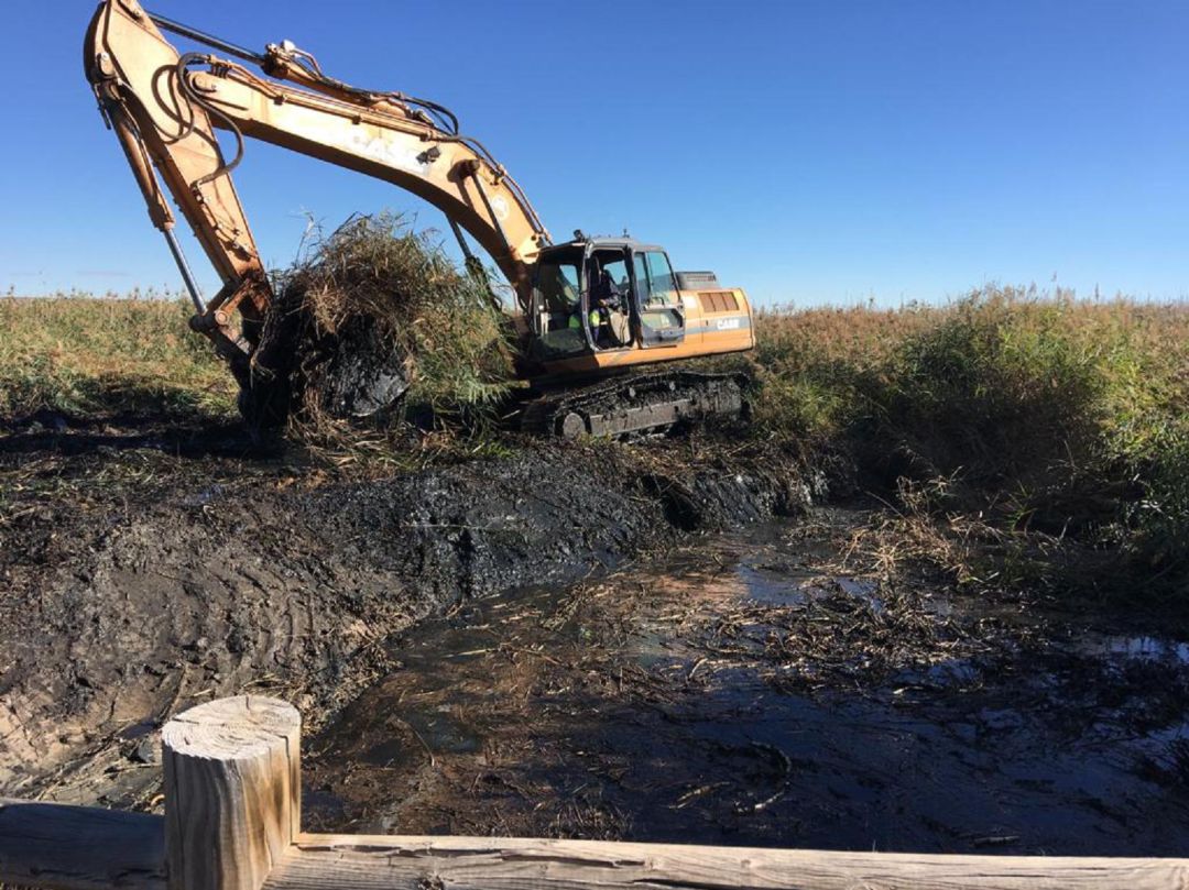 Mota del Cuervo limpia la Acequía Madre pensando en los agricultores Mota del Cuervo limpia la Acequía Madre pensando en los agricultores