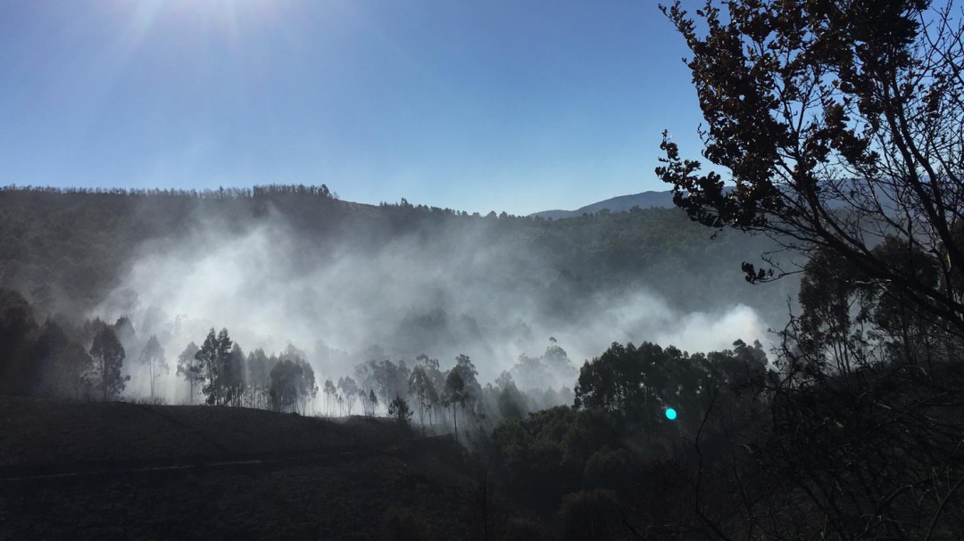 Extinguido el incendio de Mondariz tras quemar 159 hectáreas