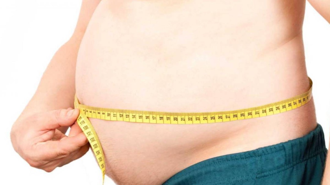 La obesidad se transmite hasta los bisnietos