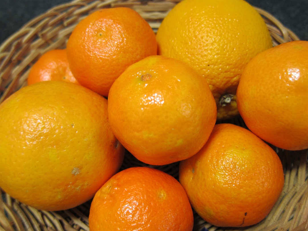 La Unió denuncia la distribución de mandarinas del cono sur de hace dos meses antes que las frescas españolas La Unió denuncia la distribución de mandarinas del cono sur de hace dos meses antes que las frescas españolas