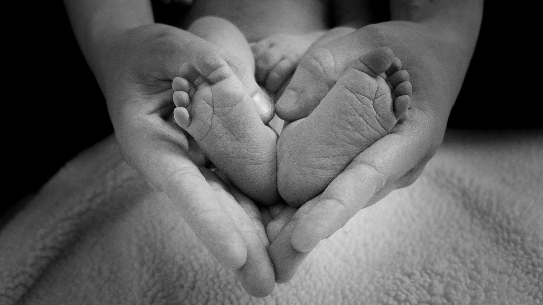 La retención de las prestaciones por maternidad marca el inicio de la semana parlamentaria