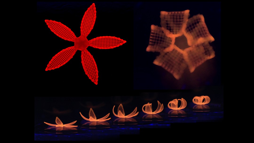 Impresoras 4D: todo un universo por descubrir y por construir