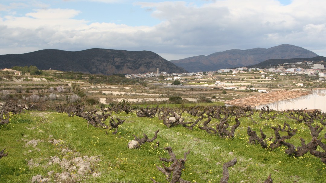 El PSPV de la Marina Alta en contra de la construcción de un hotel de lujo en Moraira