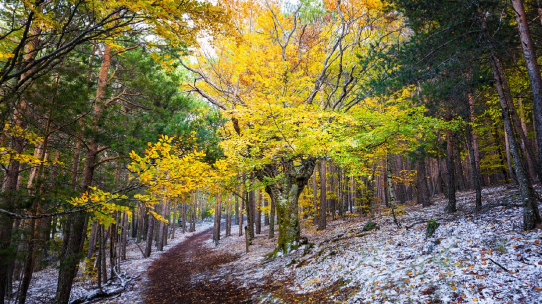 Disfruta del otoño en Castilla-La Mancha