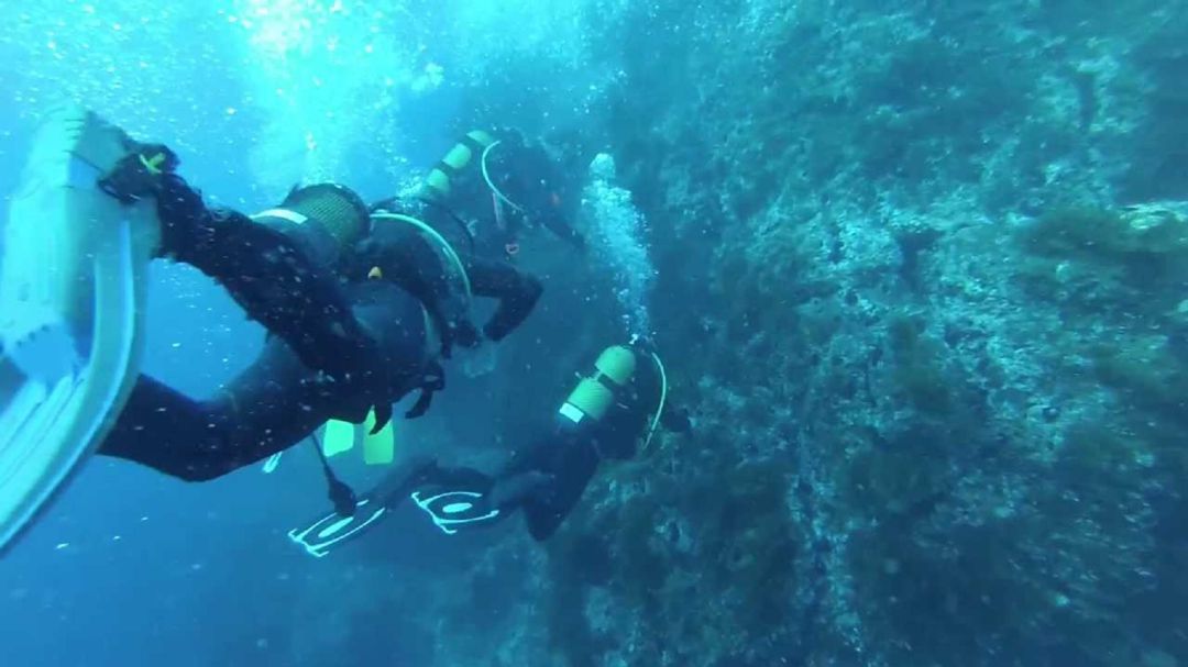 Expertos hablarán de las repercusiones económicas de las reservas marinas Expertos hablarán de las repercusiones económicas de las reservas marinas