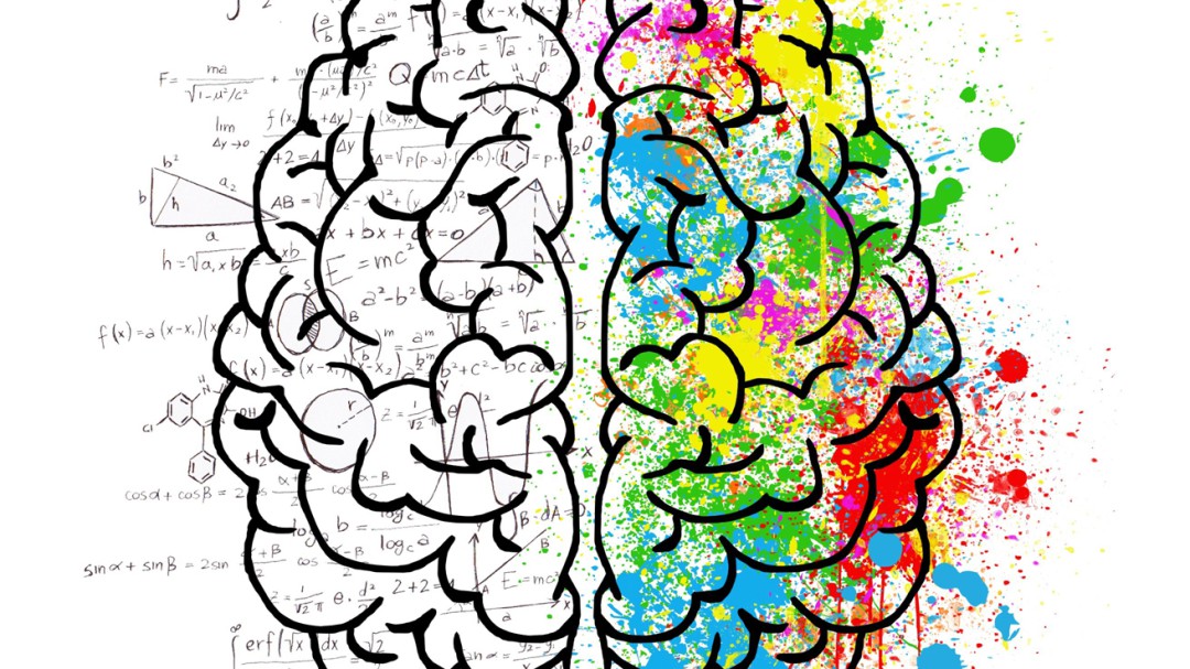Identifican por primera vez todos los genes relacionados con la personalidad humana