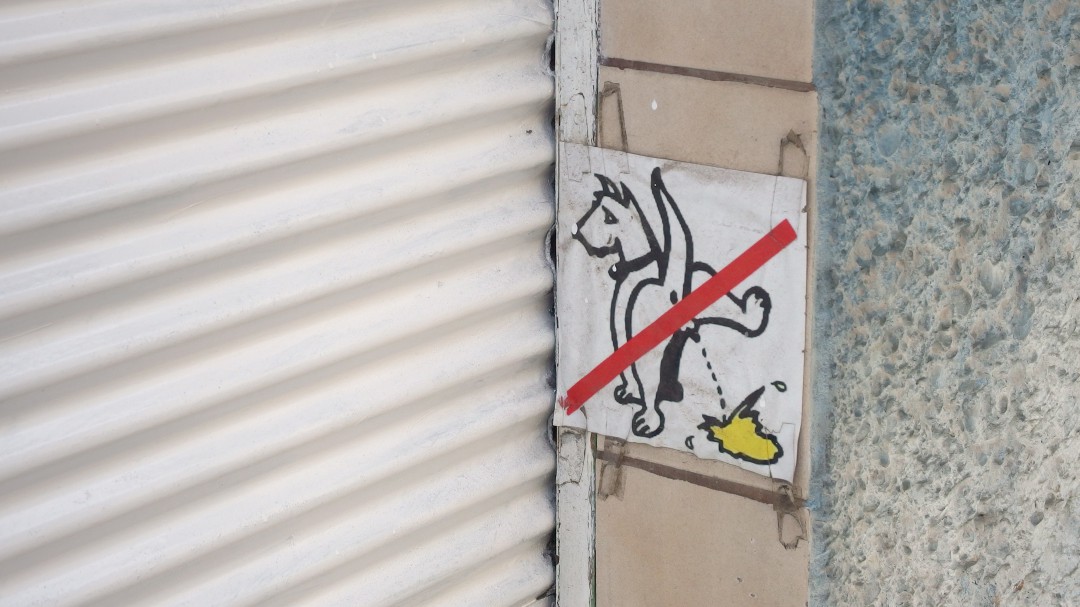 El Ayuntamiento recuerda que existen sanciones por permitir a los perros orinar en fachadas