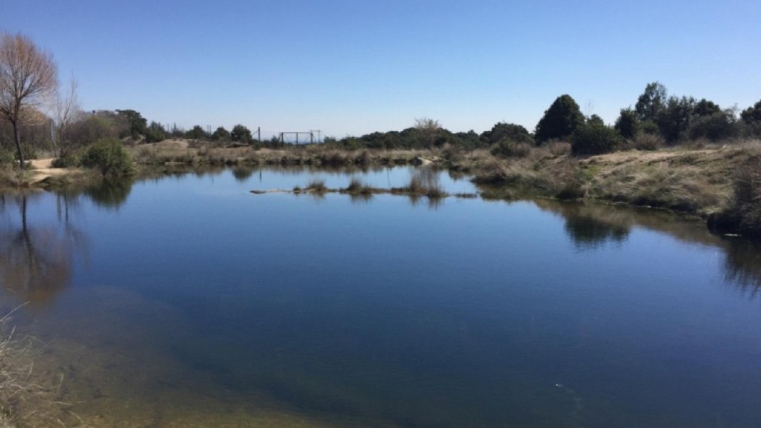 Una excursión para conocer la vida de los anfibios