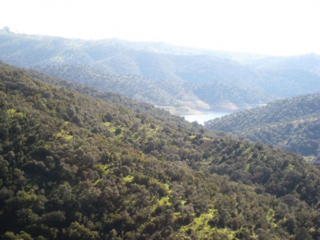Pantano del Arenoso (wikipedia). Pantano del Arenoso (wikipedia).