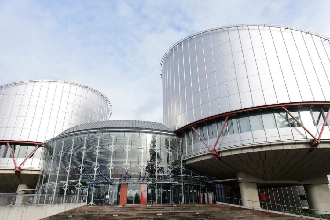 La AVT aplaude la decisión de Estrasburgo La AVT aplaude la decisión de Estrasburgo