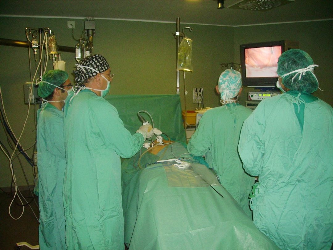 Cirujanos En Quirófano Realizando Un Trasplante De Donante Vivo Cirujanos En Quirófano Realizando Un Trasplante De Donante Vivo