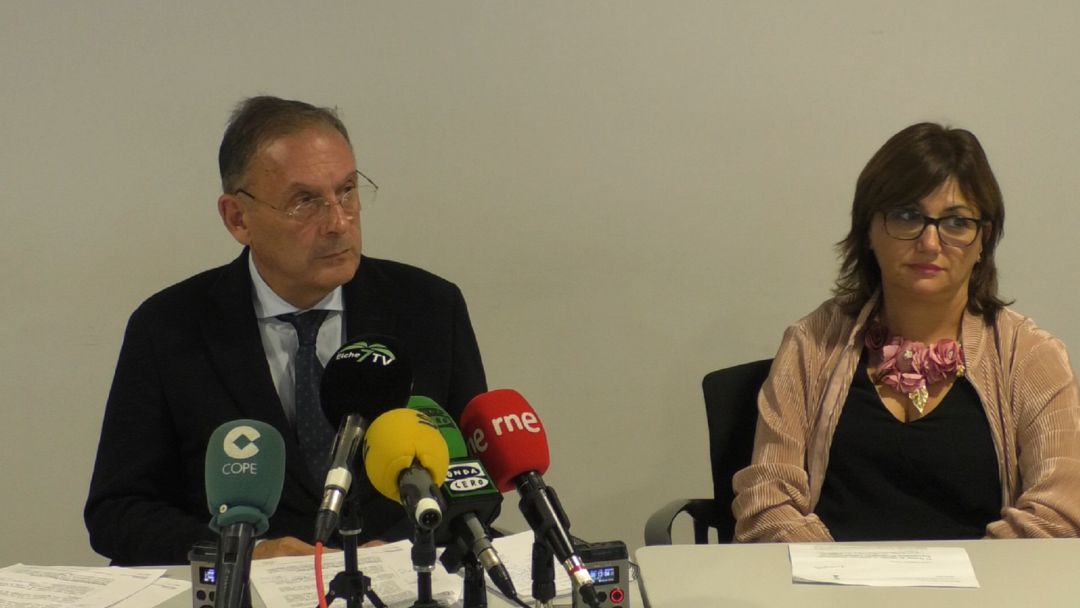 El director de Bellas Artes en su visita a Elche. El director de Bellas Artes en su visita a Elche.