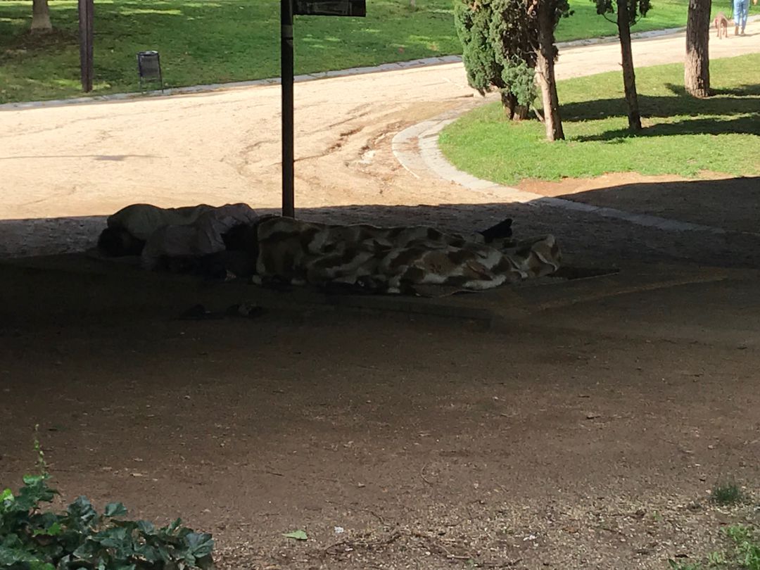 L'Ismail dorm al parc de l'Estació del Nord a Barcelona, amb altres joves com ell L'Ismail dorm al parc de l'Estació del Nord a Barcelona, amb altres joves com ell