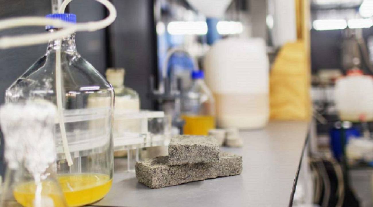 Como Crear Ladrillos A Partir De Orina Humana Ciencia Y Tecnologia Cadena Ser
