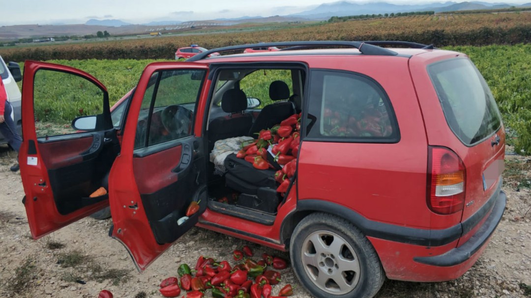 Pilladas con 400 kilos de pimientos robados