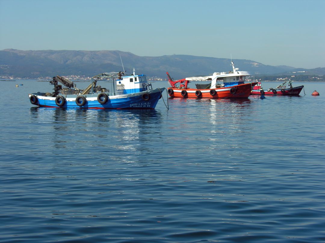 Barcos faenando. Barcos faenando.