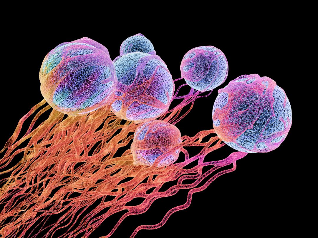 Tecnología para luchar contra el cáncer Tecnología para luchar contra el cáncer