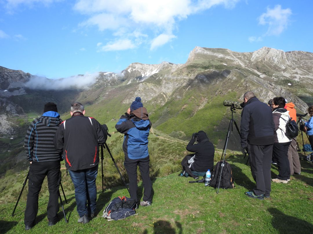 Un grupo de ecoturistas disfrutando de la naturaleza Un grupo de ecoturistas disfrutando de la naturaleza