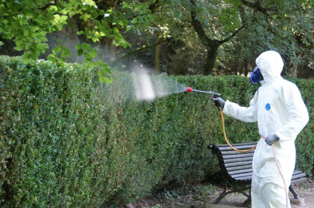 Un tractament anti plaga a Olot Un tractament anti plaga a Olot