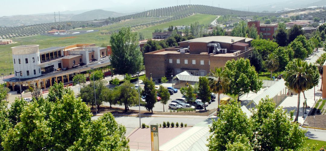 Vista aérea de parte de las instalaciones y edificios de la Universidad de Jaén. Vista aérea de parte de las instalaciones y edificios de la Universidad de Jaén.
