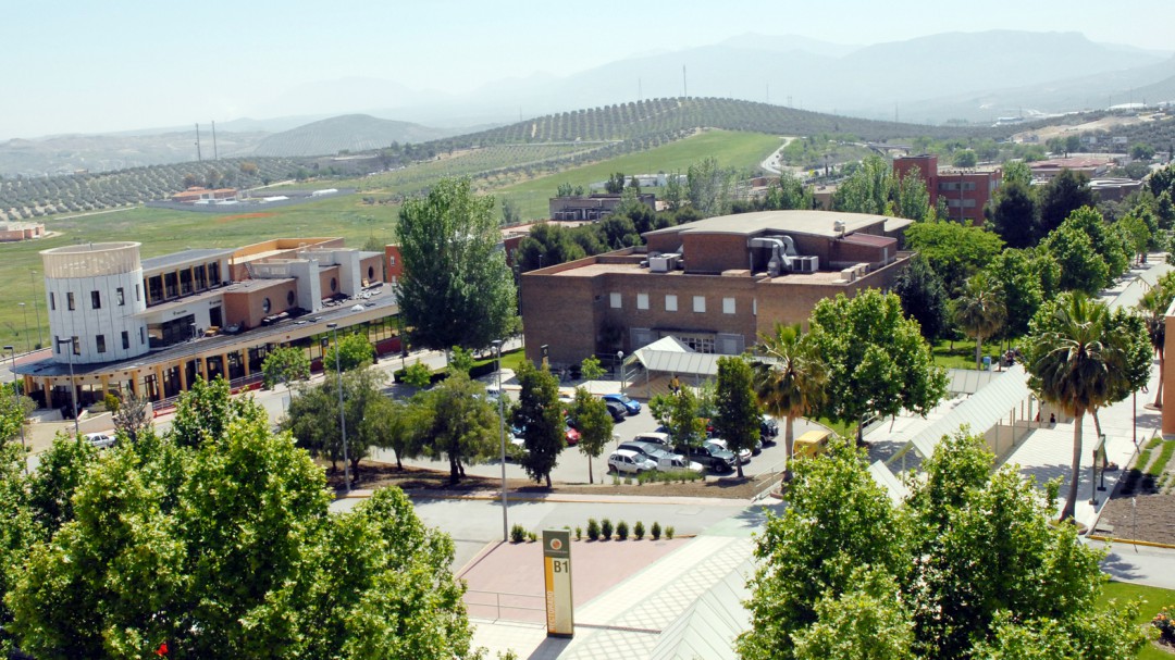 Un grado de la UJA, validado por la CNMV