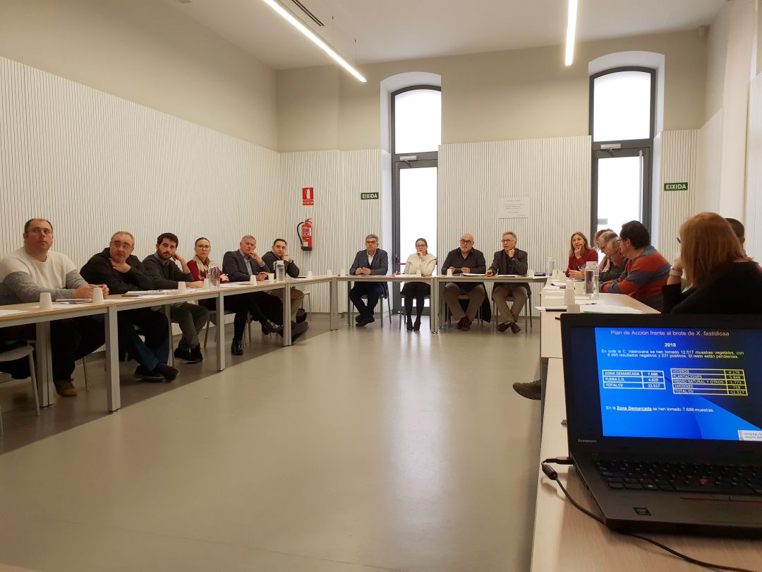 Reunión noveno brote de Xylella. Reunión noveno brote de Xylella.
