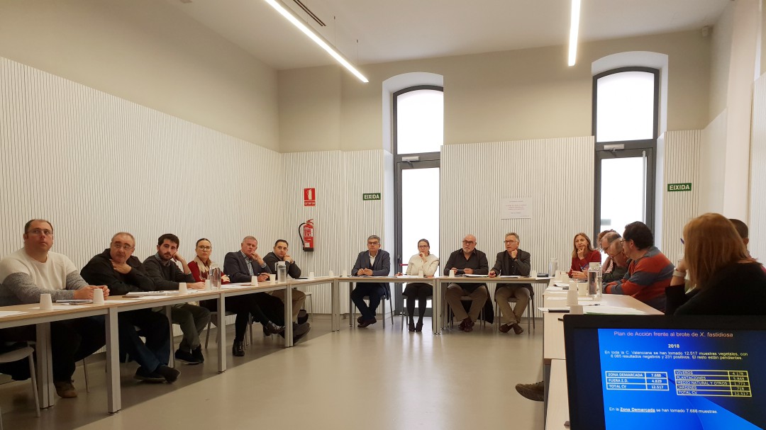 El noveno brote de Xylella afecta a la Marina Alta