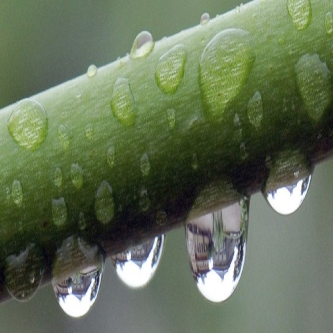 El mundo mágico del agua subterránea. El mundo mágico del agua subterránea.