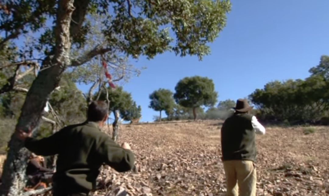 Instantánea de una jornada de caza en la finca " Encomienda del Mochuelo " dónde se produjeron los hechos Instantánea de una jornada de caza en la finca " Encomienda del Mochuelo " dónde se produjeron los hechos