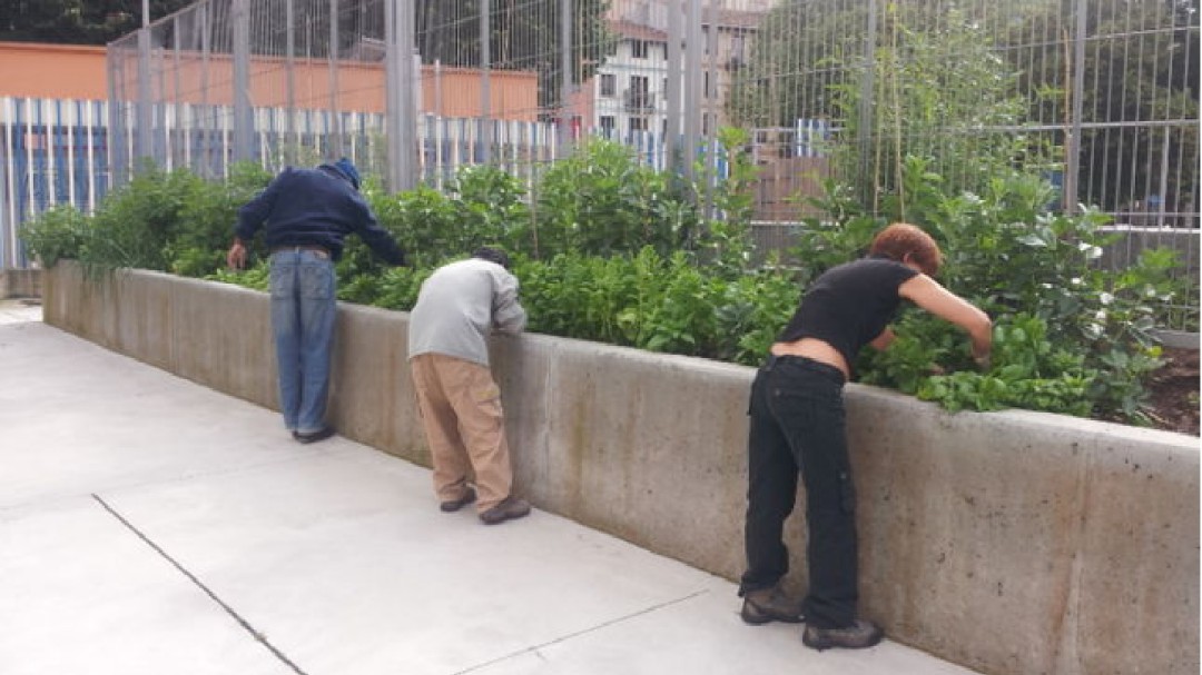 Huertos para la integración de refugiados