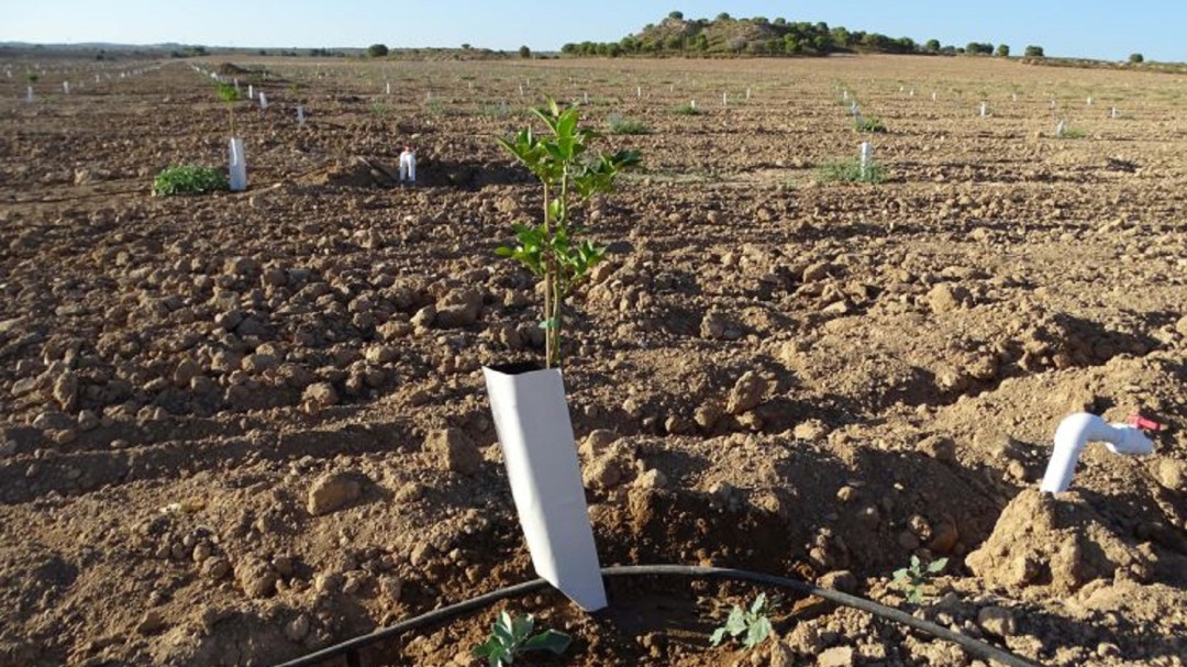 Los agricultores del norte de la provincia unen sus fuerzas