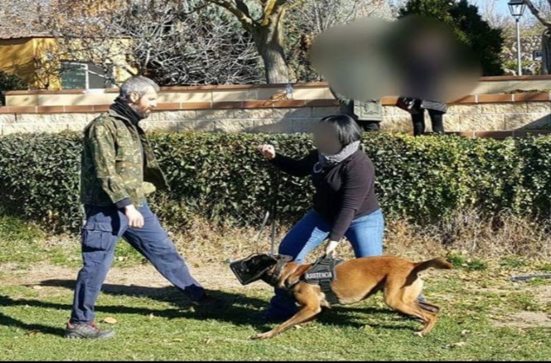 Un momento del entrenamiento en Parla, donde se desarrolla el Proyecto Pepo Un momento del entrenamiento en Parla, donde se desarrolla el Proyecto Pepo
