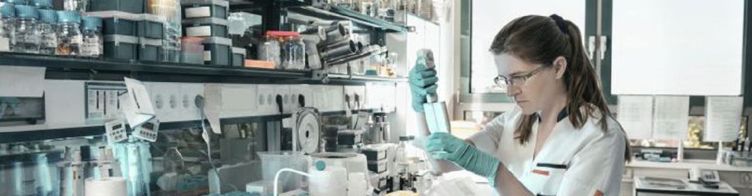 Inmunoterapia: la esperanza se abre paso en el Congreso de Oncología Médica de Toledo Inmunoterapia: la esperanza se abre paso en el Congreso de Oncología Médica de Toledo