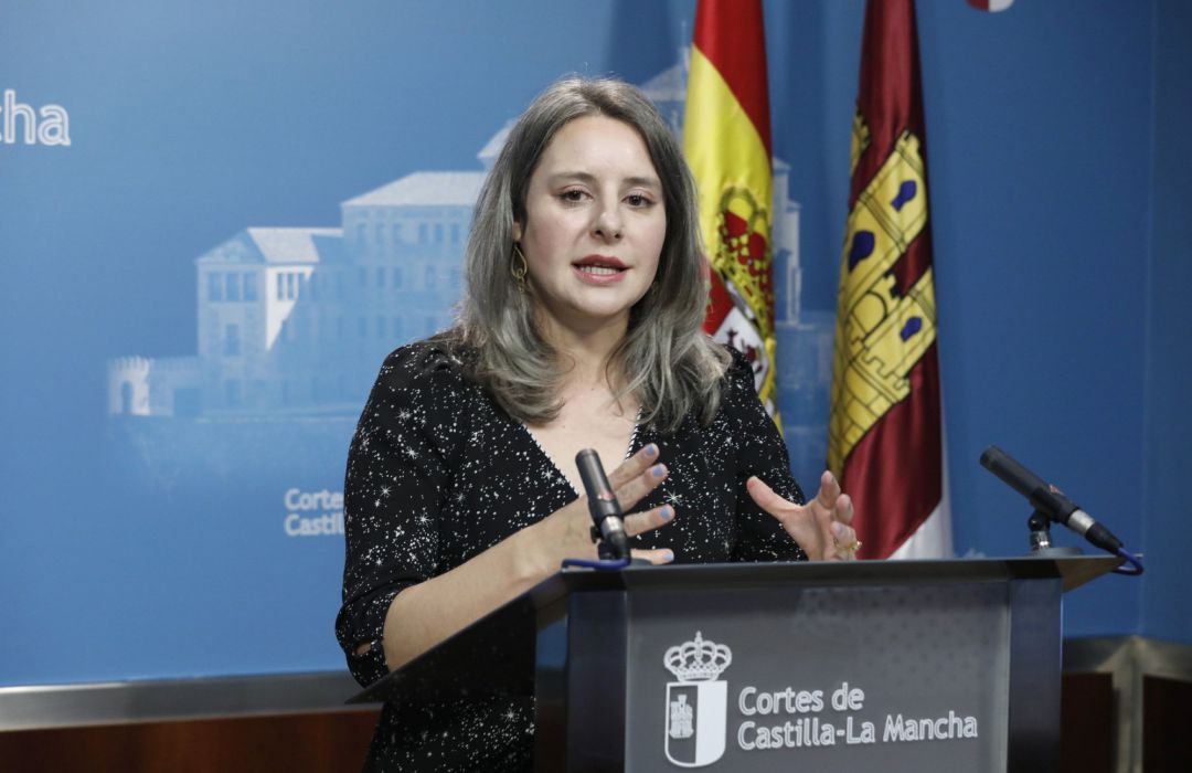 La directora del Instituto de la Mujer, Araceli Martínez La directora del Instituto de la Mujer, Araceli Martínez
