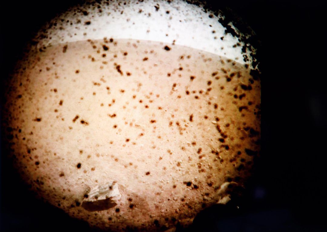 Fotografía cedida por la NASA que muestra la primera imagen tomada desde el módulo espacial InSight tras su exitoso aterrizaje en el planeta Marte. El modulo espacial InSight, la primera misión de la NASA que quiere estudiar específicamente el interior de Marte, aterrizó hoy con éxito en la superficie del planeta rojo. La sala de control del Laboratorio de Propulsión de la NASA en Pasadena (California, EE.UU.) recibió hoy a las 11.53 horas local (19.53 GMT) la señal de que InSight se había posado en Marte. Fotografía cedida por la NASA que muestra la primera imagen tomada desde el módulo espacial InSight tras su exitoso aterrizaje en el planeta Marte. El modulo espacial InSight, la primera misión de la NASA que quiere estudiar específicamente el interior de Marte, aterrizó hoy con éxito en la superficie del planeta rojo. La sala de control del Laboratorio de Propulsión de la NASA en Pasadena (California, EE.UU.) recibió hoy a las 11.53 horas local (19.53 GMT) la señal de que InSight se había posado en Marte.
