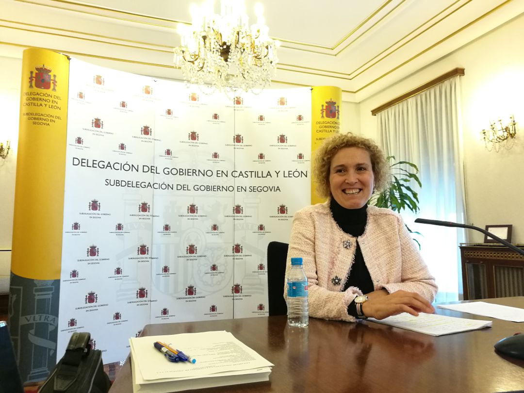 Lirio Martín durante la Comisión de Asistencia a la Subdelegada Lirio Martín durante la Comisión de Asistencia a la Subdelegada