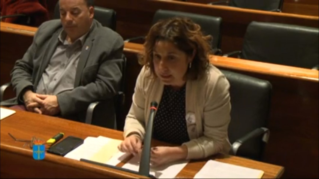 Carmen Eva Pérez presenta su renuncia como portavoz adjunta del PSOE en la Junta General