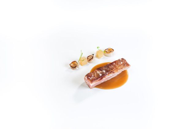 Cordero a baja temperatura, pera en texturas y cebollitas al PX. Cordero a baja temperatura, pera en texturas y cebollitas al PX.