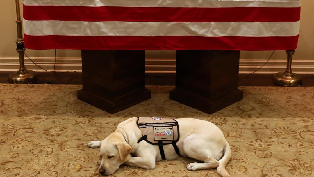 El perro de George H.W. Bush se despide de su mejor amigo con una última misión