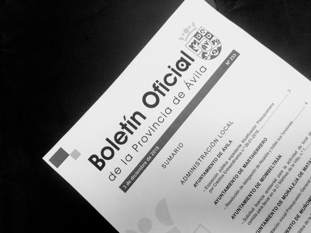 La Diputación facilitará el derecho al olvido introduciendo algunos cambios en la web en la que se publica el BOP La Diputación facilitará el derecho al olvido introduciendo algunos cambios en la web en la que se publica el BOP
